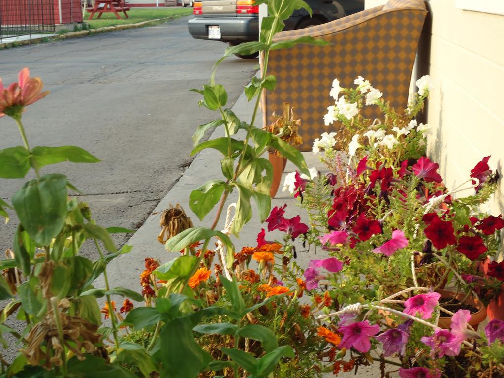Star By Elevate Motel